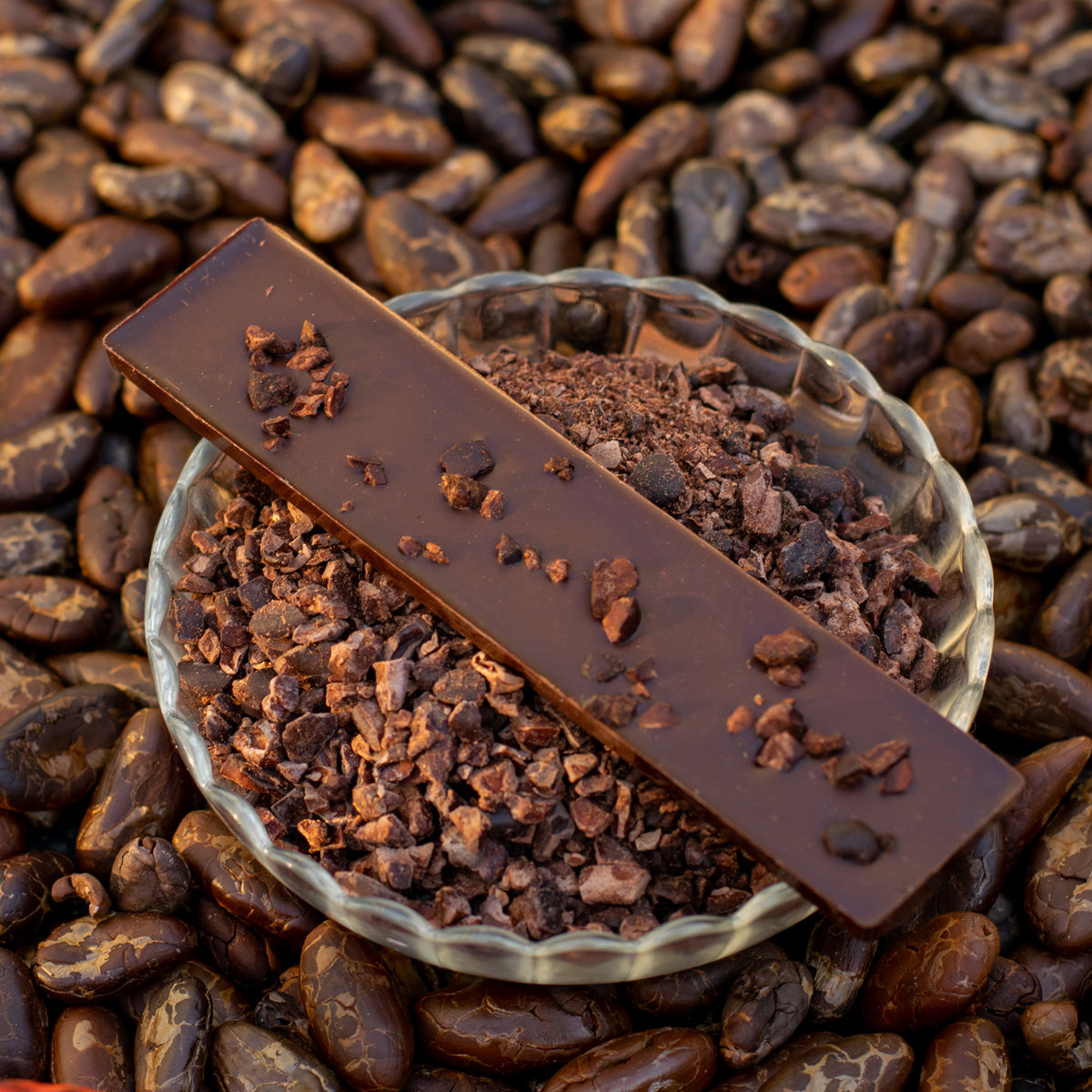 BARRA DE NIBS DE CACAO